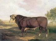 unknow artist Cow 143 oil painting reproduction